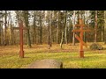 Las Krogulec i Cmentarz Wojskowy z I wojny światowej - Zgierz